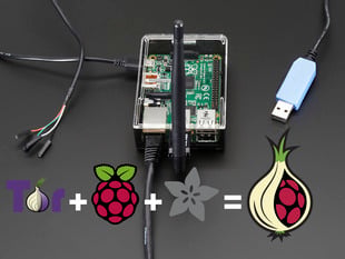 Assembled Onion Pi Pack w/Large Antenna