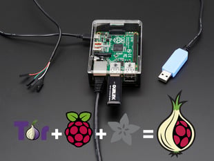 Assembled Onion Pi Pack w/ WiFi Module.