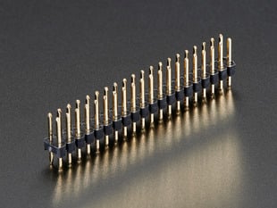Angled shot of a 0.1" 2x20-pin dual plug header strip.