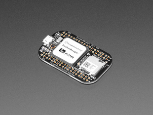 Angled shot of a small, rectangle-shaped microcontroller.