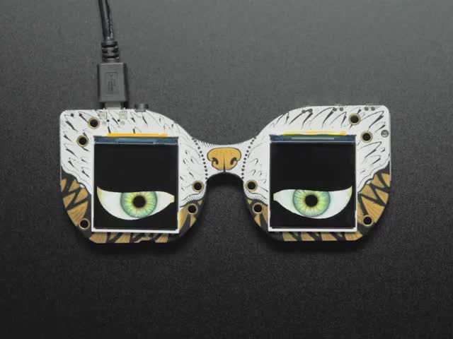 MONSTER M4SK DIY Electronic Face mask.  Two Screens Display Eyes that blink and dart up and down.