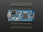 Top view of a blue rectangular microcontroller between two pieces of 16-pin header.