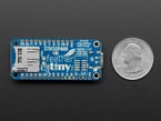 Back of a blue rectangular microcontroller next to US quarter for scale.