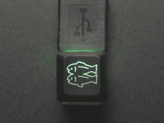 Demo Shot of the Etched Glow-Through Keycap connected to a single button USB Device that is illuminating rainbow colors through the Keycap Glitch Logo.