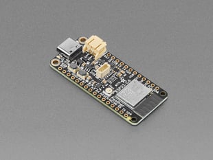 Angled shot of rectangular dev board.