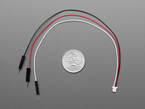 3-pin JST-SH plug header cable with red, black, and white headers with U.S. quarter for scale.