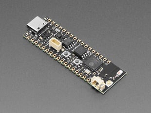 Angled shot of long, black, skinny, dev board.