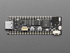 Overhead shot of long, black, skinny, dev board.
