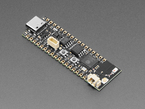 Angled shot of long, black, skinny, dev board.